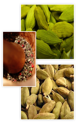 cardamom, cardamomo, cardamone, cardamomo, phalazee, ts’ao-k’ou, chhoti elachi, e(e)lachie, ela(i)chi, illaichi, kapulaga, buah pelaga, enasal, elam, grawahn, kravan, spice, spices, exporter of green cardamom