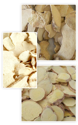 Ginger, Adrak, Jamaica Ginger, Jamaica Pepper, adruk (green), sont(h) (dried)spice, exporter of Ginger/Adrak, spice, mirchi, healthy food, best for your health, export quality ginger/Adrak, ginger/Adrak  plant, trade in ginger/Adrak